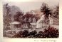 Miss Malthus' Cottage in Fourteen Views by a Lady Cottage, Chilworth Road, Albury